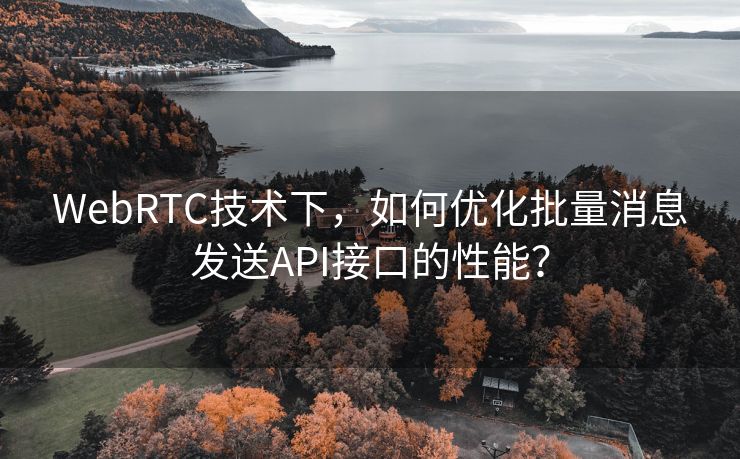 WebRTC技术下，如何优化批量消息发送API接口的性能？