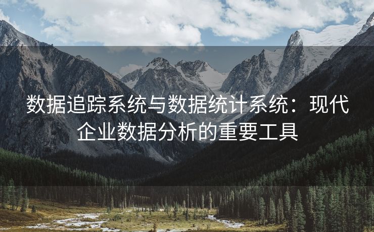 数据追踪系统与数据统计系统：现代企业数据分析的重要工具