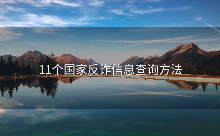 11个国家反诈信息查询方法