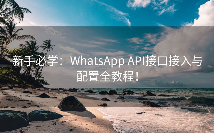 新手必学：WhatsApp API接口接入与配置全教程！