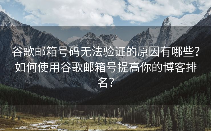 谷歌邮箱号码无法验证的原因有哪些？如何使用谷歌邮箱号提高你的博客排名？