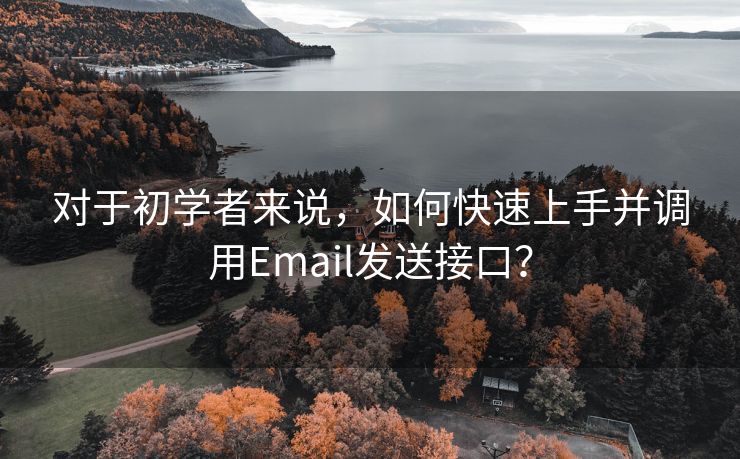 对于初学者来说，如何快速上手并调用Email发送接口？