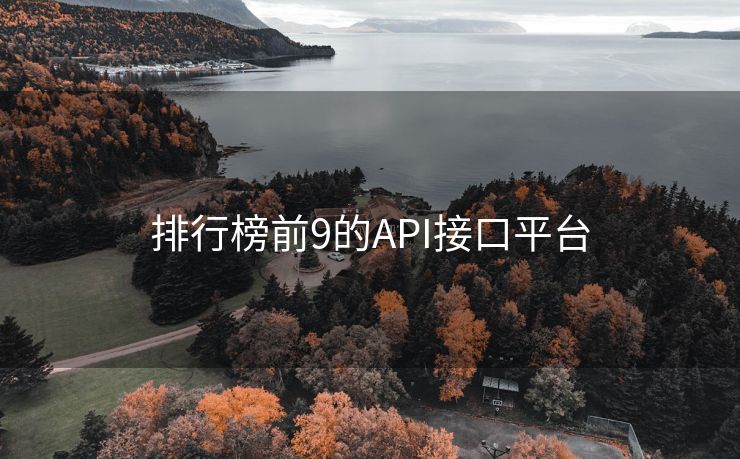 排行榜前9的API接口平台