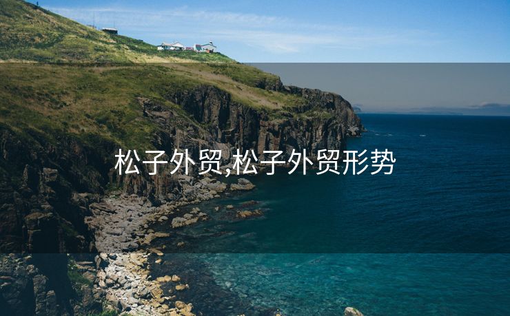 松子外贸,松子外贸形势