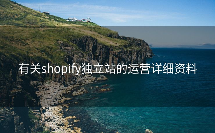 有关shopify独立站的运营详细资料