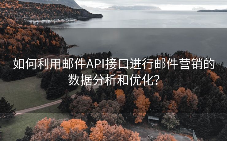 如何利用邮件API接口进行邮件营销的数据分析和优化？