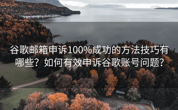 谷歌邮箱申诉100%成功的方法技巧有哪些？如何有效申诉谷歌账号问题？