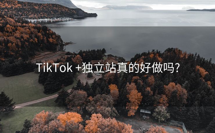 TikTok +独立站真的好做吗?